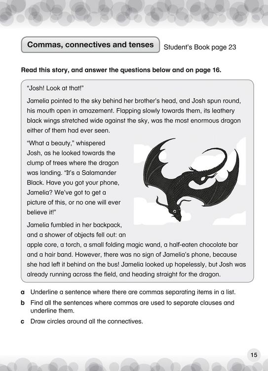 Produktbild: International Primary English Workbook: Stage 3