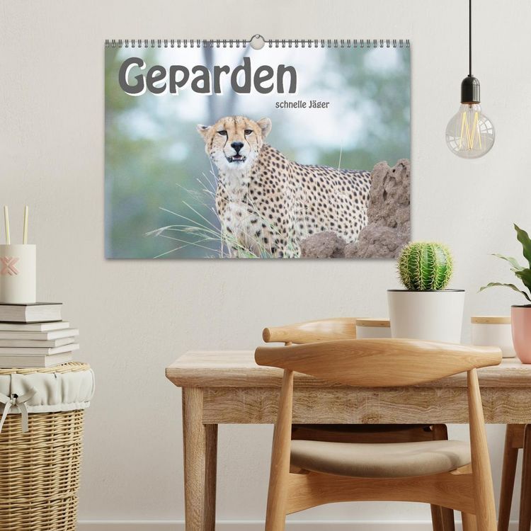 Produktbild: Geparden - schnelle J&auml;ger (Wandkalender 2026 DIN A3 quer), CALVENDO Monatskalender