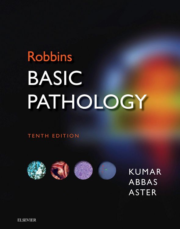 Produktbild: Robbins Basic Pathology E-Book