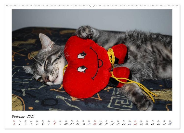 Produktbild: Die Launen der Katzen 2026 (hochwertiger Premium Wandkalender 2026 DIN A2 quer), Kunstdruck in Hochglanz
