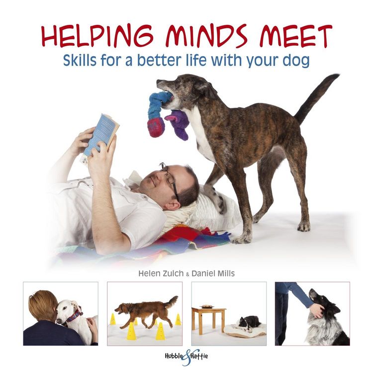 Produktbild: Helping minds meet