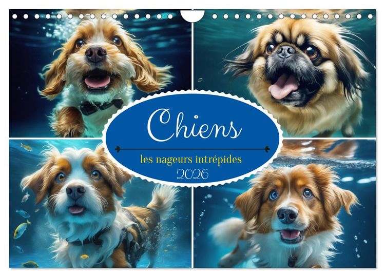Produktbild: Chiens : les nageurs intr&eacute;pides (Calendrier mural 2026 DIN A4 vertical), CALVENDO calendrier mensuel