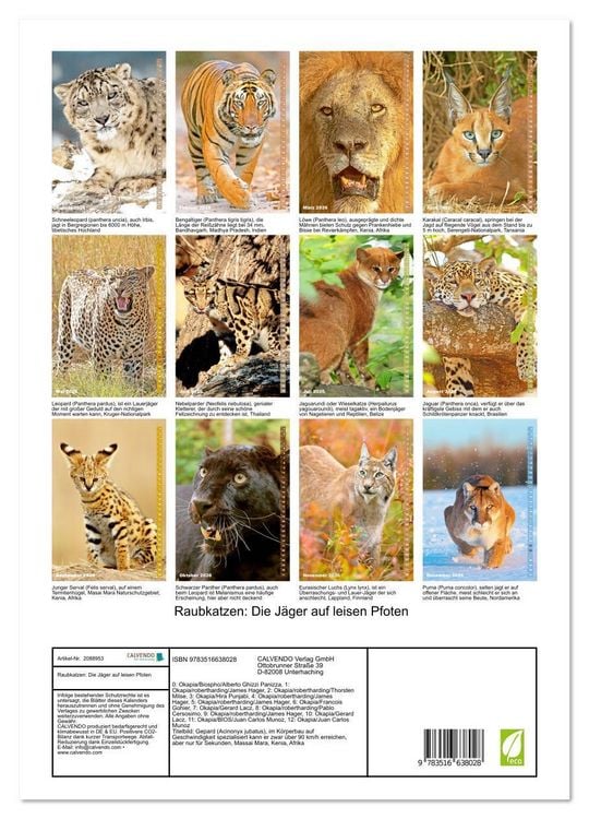 Produktbild: Raubkatzen: Die J&auml;ger auf leisen Pfoten (Wandkalender 2026 DIN A3 hoch), CALVENDO Monatskalender