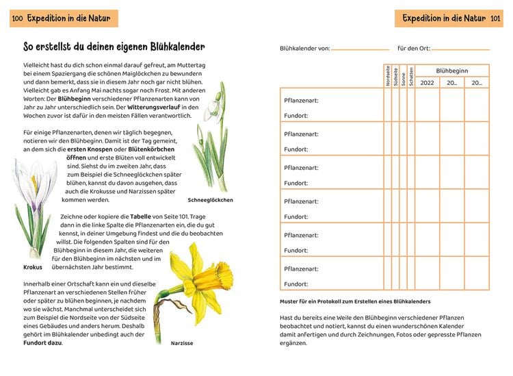 Produktbild: Was bl&uuml;ht denn da? Kindernaturf&uuml;hrer