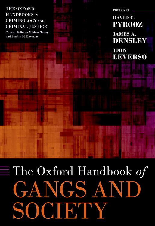 Produktbild: The Oxford Handbook of Gangs and Society