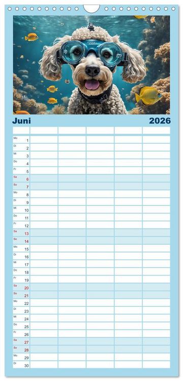 Produktbild: Familienplaner 2026 - Hunde abgetaucht mit 5 Spalten (Wandkalender, 21 x 45 cm) CALVENDO