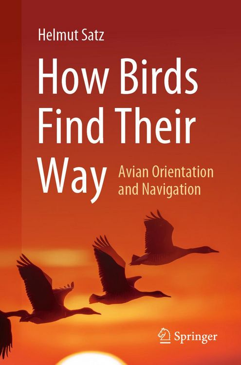 Produktbild: How Birds Find Their Way