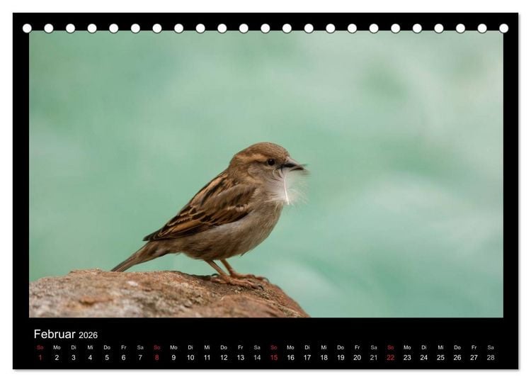 Produktbild: Natur erleben... (Tischkalender 2026 DIN A5 quer), CALVENDO Monatskalender