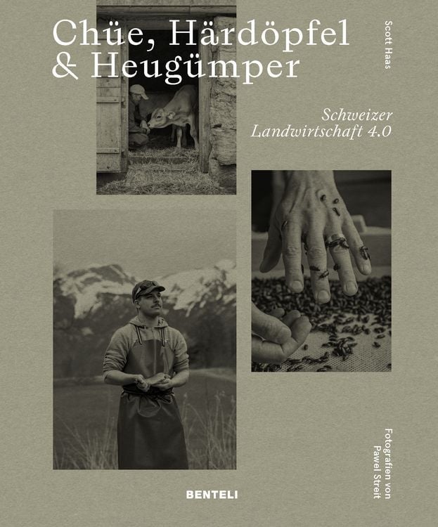 Produktbild: Ch&uuml;e, H&auml;rd&ouml;pfel & Heug&uuml;mper