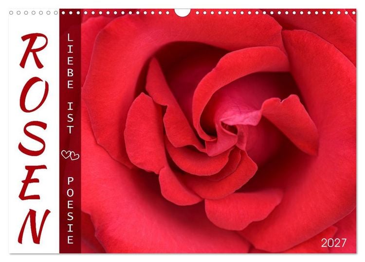 Produktbild: Rosen, Liebe ist (Wandkalender 2027 DIN A3 quer), CALVENDO Monatskalender