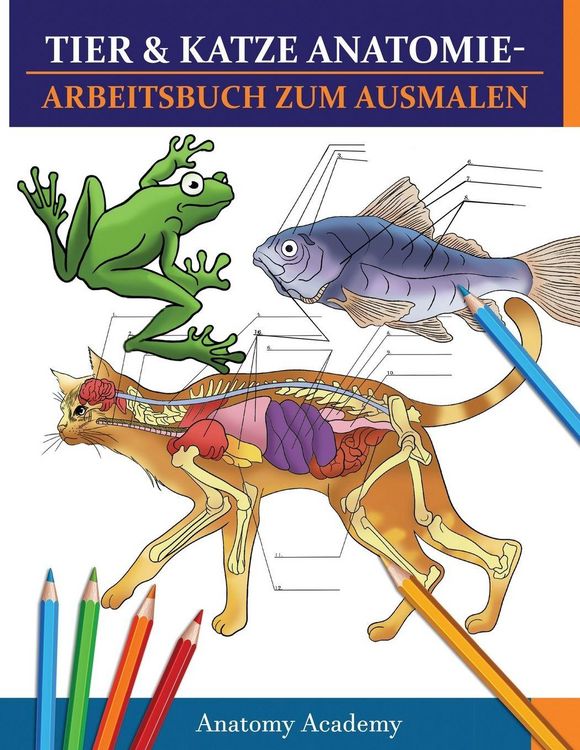 Produktbild: Tier & Katze Anatomie-Arbeitsbuch zum Ausmalen