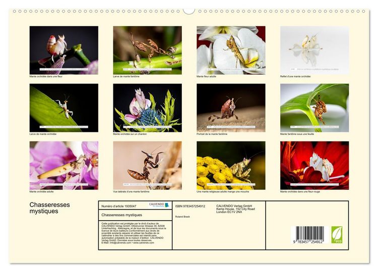 Produktbild: Chasseresses mystiques (Calendrier mural 2026 DIN A2 vertical) calendrier de bureau