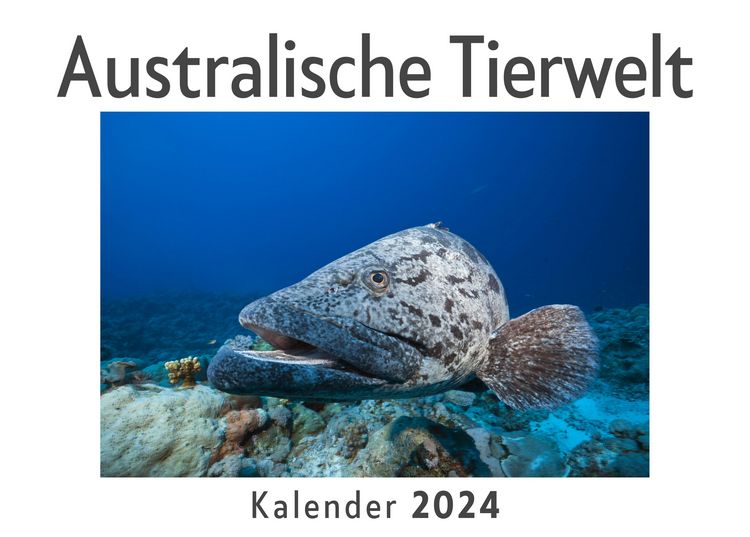 Produktbild: Australische Tierwelt (Wandkalender 2024, Kalender DIN A4 quer, Monatskalender im Querformat mit Kalendarium, Das perfekte Geschenk)