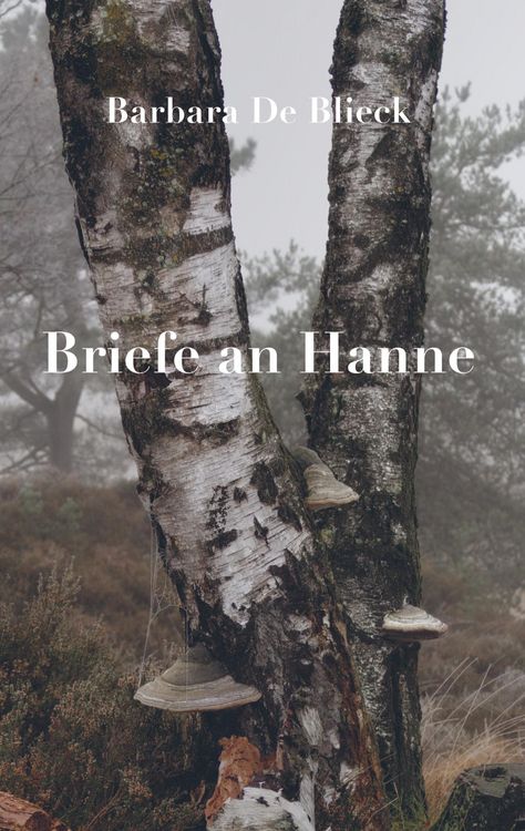 Produktbild: Briefe an Hanne