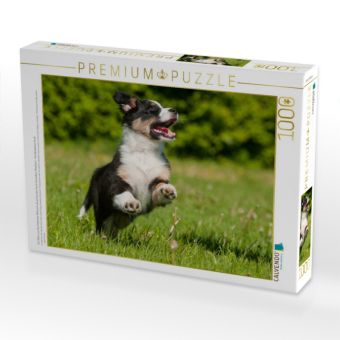 Produktbild: CALVENDO Puzzle Ein Motiv aus dem Kalender Bekannt wie ein bunter Hund. Australian Shepherd - Familienplaner hoch | 1000 Teile Lege-Gr&ouml;&szlig;e 64x48cm Foto