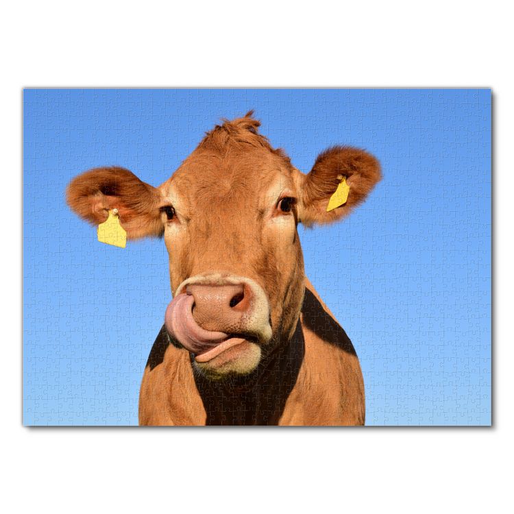 Produktbild: Lais Puzzle Kuh 1000 Teile