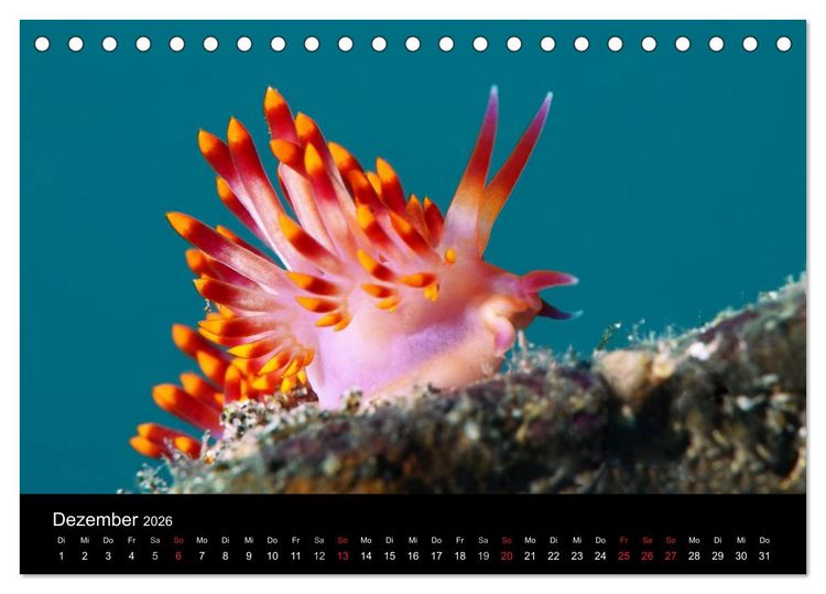 Produktbild: Unterwasser (Tischkalender 2026 DIN A5 quer), CALVENDO Monatskalender
