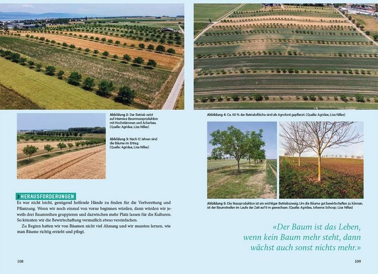Produktbild: Agroforstpraxis in der Schweiz