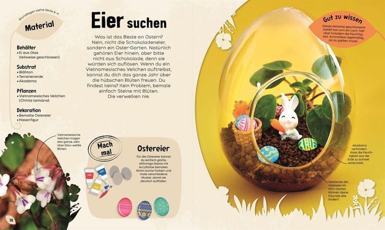Produktbild: Mein Mini-Garten im Glas