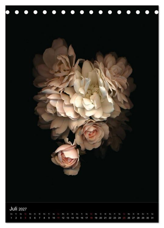 Produktbild: Blumen bei Nacht (Tischkalender 2027 DIN A5 hoch), CALVENDO Monatskalender