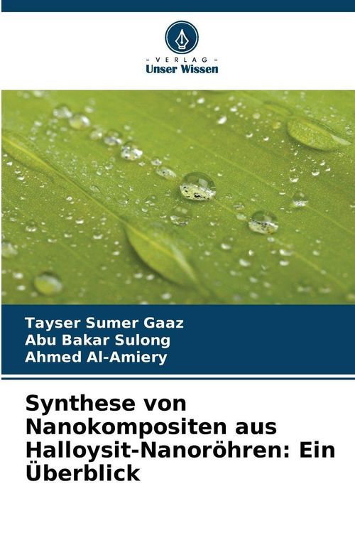 Produktbild: Synthese von Nanokompositen aus Halloysit-Nanor&ouml;hren: Ein &Uuml;berblick