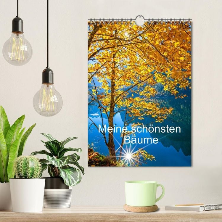 Produktbild: Meine sch&ouml;nsten B&auml;ume (Wandkalender 2027 DIN A4 hoch), CALVENDO Monatskalender