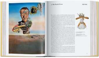 Produktbild: Dal&iacute;