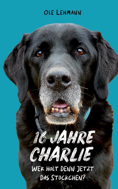 Produktbild: 16 Jahre Charlie