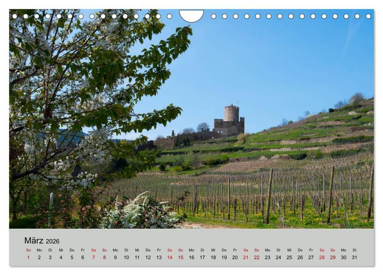Produktbild: Die Weinsta&szlig;e im Elsass (Wandkalender 2026 DIN A4 quer), CALVENDO Monatskalender