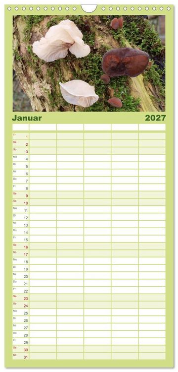 Produktbild: Familienplaner 2027 - Pilze - tolle Funde mit 5 Spalten (Wandkalender, 21 x 45 cm) CALVENDO