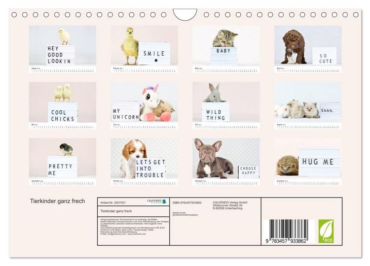Produktbild: Tierkinder ganz frech (Wandkalender 2026 DIN A4 quer), CALVENDO Monatskalender