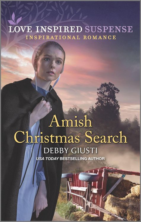 Produktbild: Amish Christmas Search