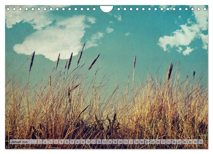 Produktbild: AMRUM Art (Wandkalender 2026 DIN A4 quer), CALVENDO Monatskalender