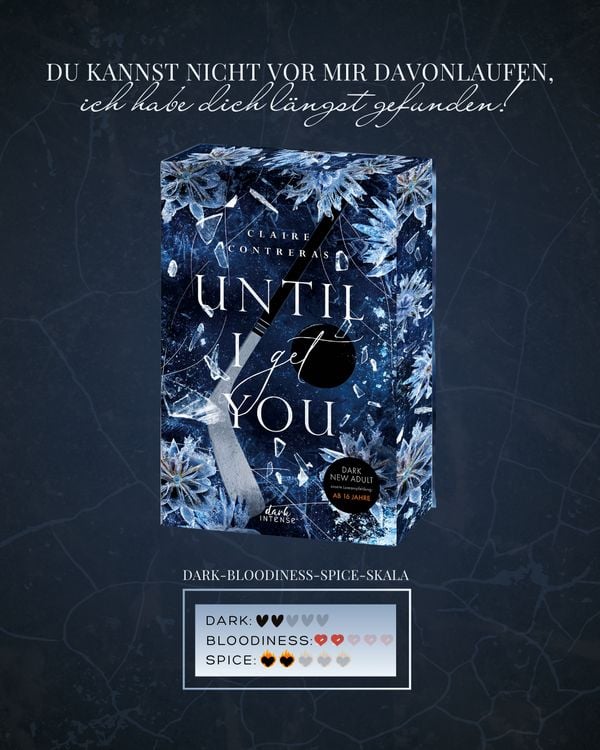 Produktbild: Until I Get You (Fairview Hockey, Band 1)