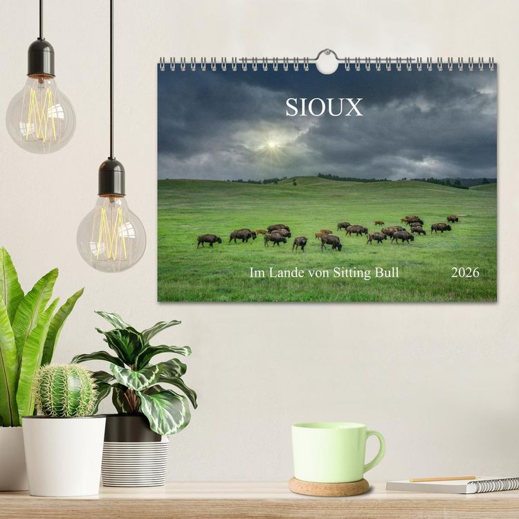 Produktbild: Sioux Im Lande von Sitting Bull (Wandkalender 2026 DIN A4 quer), CALVENDO Monatskalender