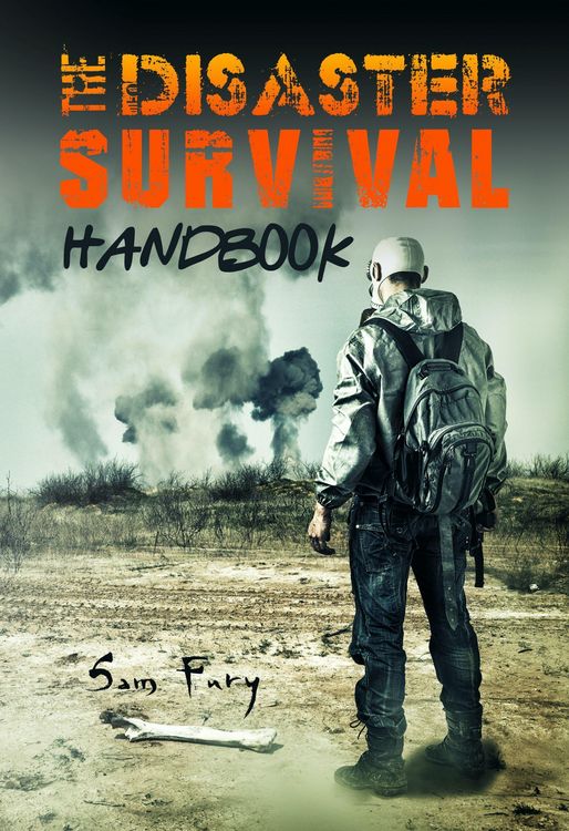 Produktbild: The Disaster Survival Handbook (Escape, Evasion, and Survival)