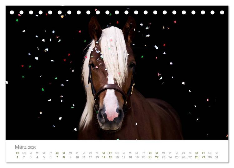 Produktbild: Faszination Schwarzw&auml;lder Kaltblut (Tischkalender 2026 DIN A5 quer), CALVENDO Monatskalender