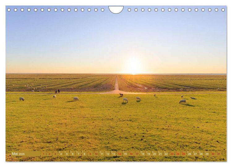 Produktbild: Einmaliges Westerhever (Wandkalender 2026 DIN A4 quer), CALVENDO Monatskalender