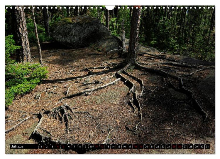 Produktbild: Tiveden, der NatURWALD in Schweden (Wandkalender 2026 DIN A3 quer), CALVENDO Monatskalender