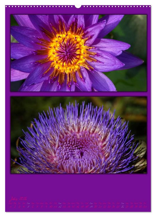 Produktbild: Colours of Nature / UK-Version (High Quality Premium Wall Calendar 2026 DIN A2 portrait),CALVENDO 12 Month Wall Calendar