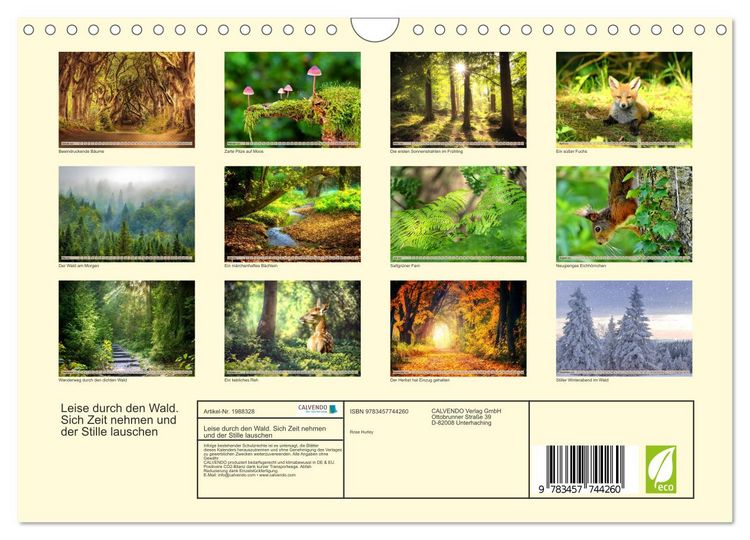 Produktbild: Leise durch den Wald. Sich Zeit nehmen und der Stille lauschen (Wandkalender 2026 DIN A4 quer), CALVENDO Monatskalender
