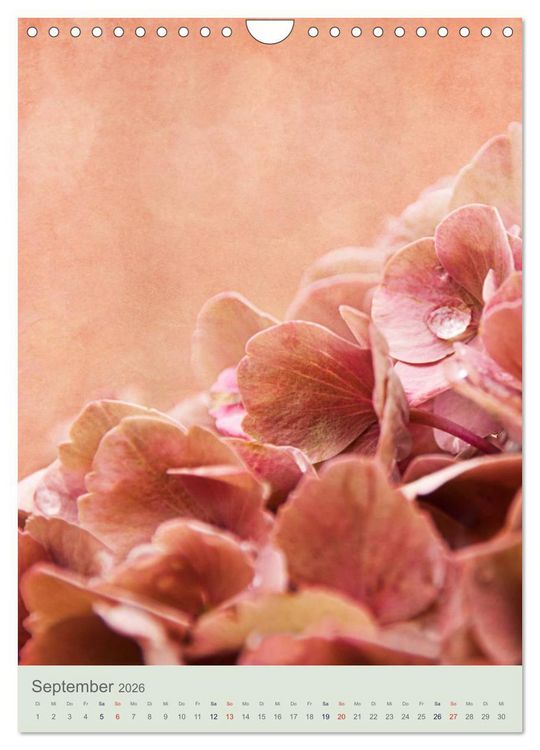 Produktbild: Flora (Wandkalender 2026 DIN A4 hoch), CALVENDO Monatskalender