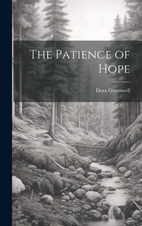 Produktbild: The Patience of Hope