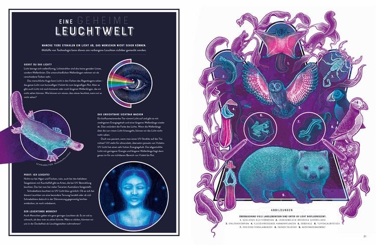 Produktbild: Glow &ndash; Das wundersame Leuchten der Natur