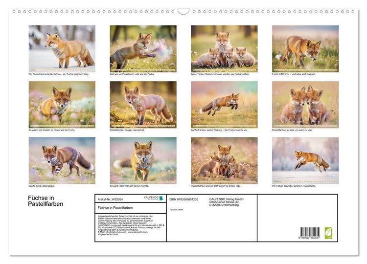 Produktbild: F&uuml;chse in Pastellfarben (Wandkalender 2027 DIN A2 quer), CALVENDO Monatskalender