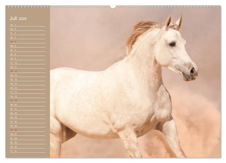 Produktbild: Pferde. Araber im W&uuml;stensand (Wandkalender 2026 DIN A2 quer), CALVENDO Monatskalender
