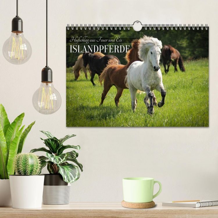 Produktbild: Islandpferde - Hufschlag aus Feuer und Eis (Wandkalender 2027 DIN A4 quer), CALVENDO Monatskalender