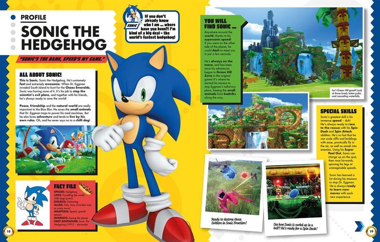 Produktbild: Sonic the Hedgehog The Essential Guide