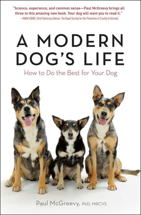 Produktbild: A Modern Dog's Life