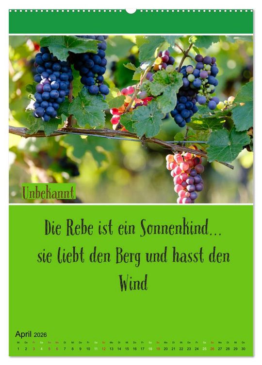 Produktbild: WEIN Weisheiten und Sprichworte (Wandkalender 2026 DIN A2 hoch), CALVENDO Monatskalender